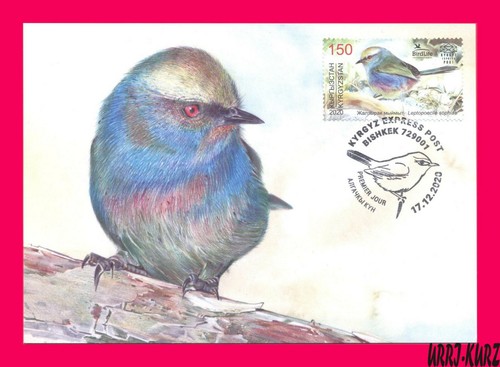 Kyrgyzstan 2020 nature fauna - kyrgyzstan,